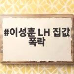 이성훈 LH 집값 폭락 발언 국감에서 나온 근거와 앞으로 전망 이성훈 LH 집값 폭락