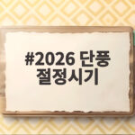 2026 단풍 절정시기 설악산에서 한라산까지 전국 단풍 여행 정보 2026 단풍 절정시기