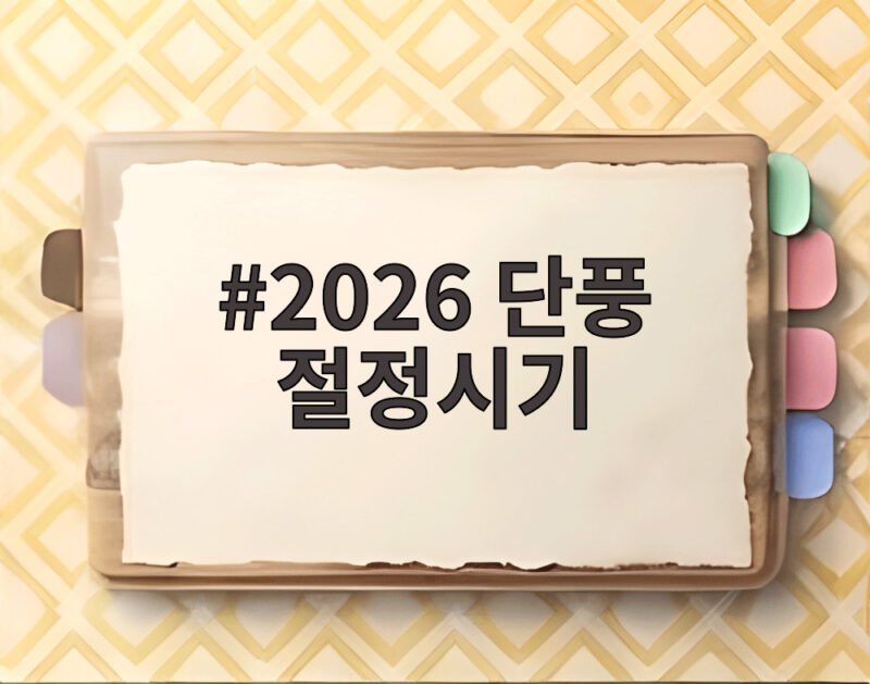 2026 단풍 절정시기 설악산에서 한라산까지 전국 단풍 여행 정보 1 2026 단풍 절정시기
