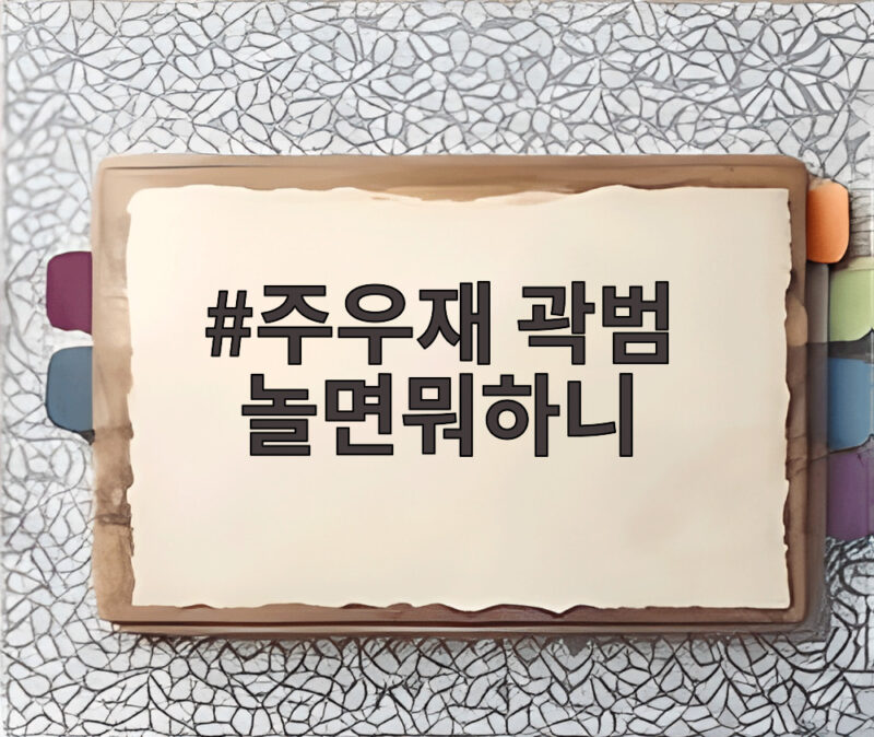 주우재 곽범 놀면뭐하니