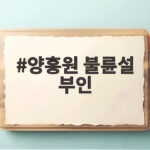 양홍원 불륜설 부인 소속사 반박과 수사 향방 핵심 정리 양홍원 불륜설 부인