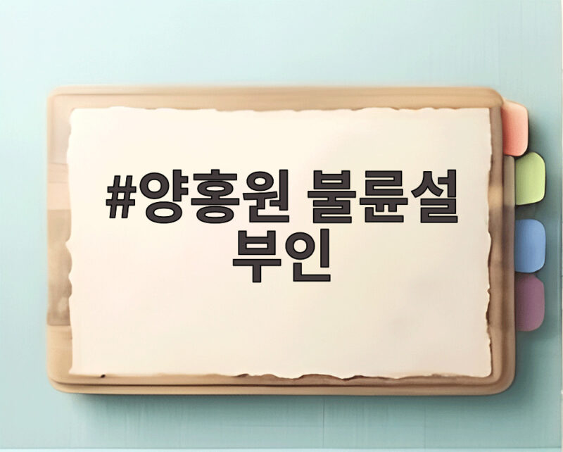 양홍원 불륜설 부인
