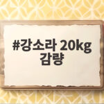 강소라 20kg 감량 비결은 샐러드와 단백질 식단에 있다 강소라 20kg 감량