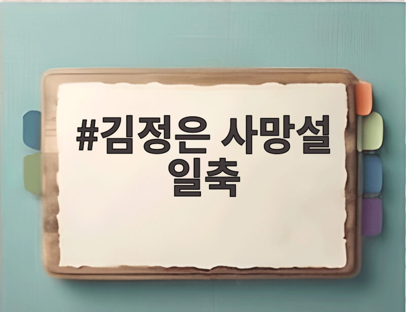 김정은 사망설 일축