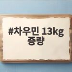 차우민 13kg 증량 나 혼자 산다 방송에서 공개한 변화 확인하기 차우민 13kg 증량