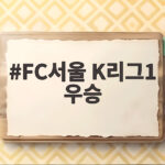 FC서울 K리그1 우승 10년 만에 다시 빛난 명가의 부활 FC서울 K리그1 우승