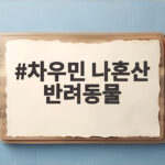 차우민 나혼산 반려동물 다섯 마리와 사는 집 공개 차우민 나혼산 반려동물