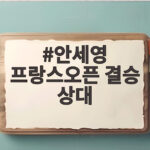 안세영 프랑스오픈 결승 상대 신두와 아케치 승자 49연승 도전 안세영 프랑스오픈 결승 상대
