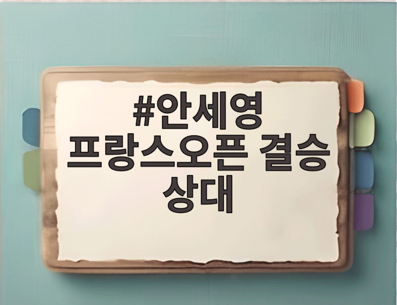 안세영 프랑스오픈 결승 상대 신두와 아케치 승자 49연승 도전 1 안세영 프랑스오픈 결승 상대