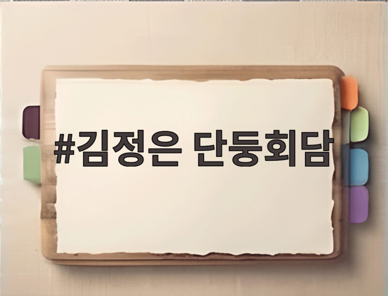 김정은 단둥회담 1년 1개월 만의 방중 경제 협력 신호 1 김정은 단둥회담