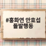 홍화연 안효섭 돌발행동에 눈물 터진 최송이 왜일까 홍화연 안효섭 돌발행동