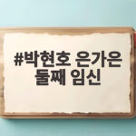 박현호 은가은 둘째 임신