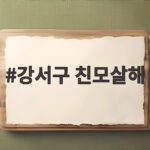 강서구 친모살해 사건 40대 딸 구속과 도주 우려 영장 발부 강서구 친모살해