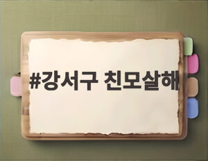 강서구 친모살해