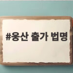 웅산 출가 법명, 그녀가 절에서 받은 이름의 뜻 웅산 출가 법명