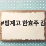핑계고 한효주 김