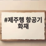 제주행 항공기 화재 243명 탑승 보조배터리 화상 사고를 알아보자 제주행 항공기 화재