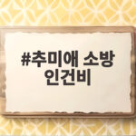 추미애 소방 인건비
