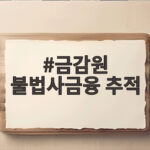 금감원 불법사금융 추적 AI 분석으로 조직 배후를 밝혀낸다 금감원 불법사금융 추적