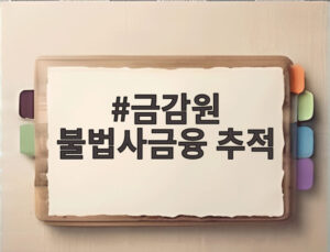 금감원 불법사금융 추적
