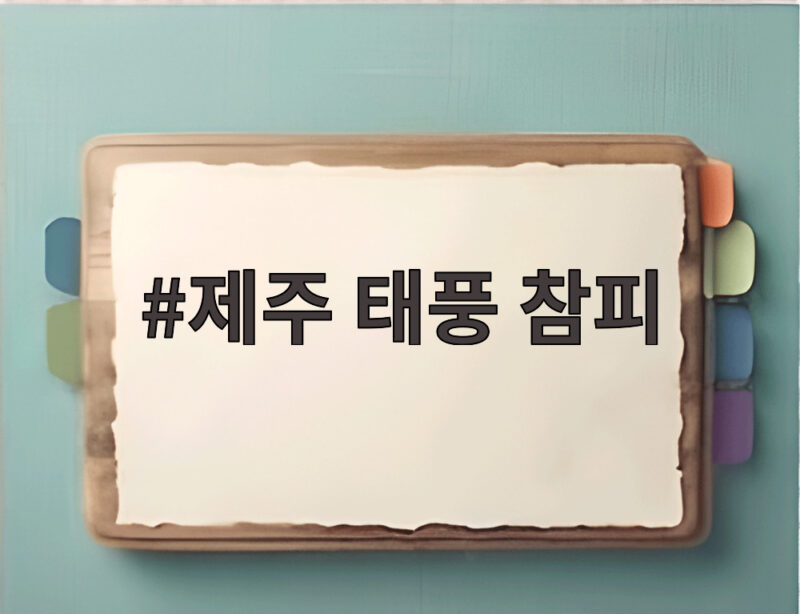 제주 태풍 참피 영향 언제까지 비바람 피해 상황은 1 제주 태풍 참피