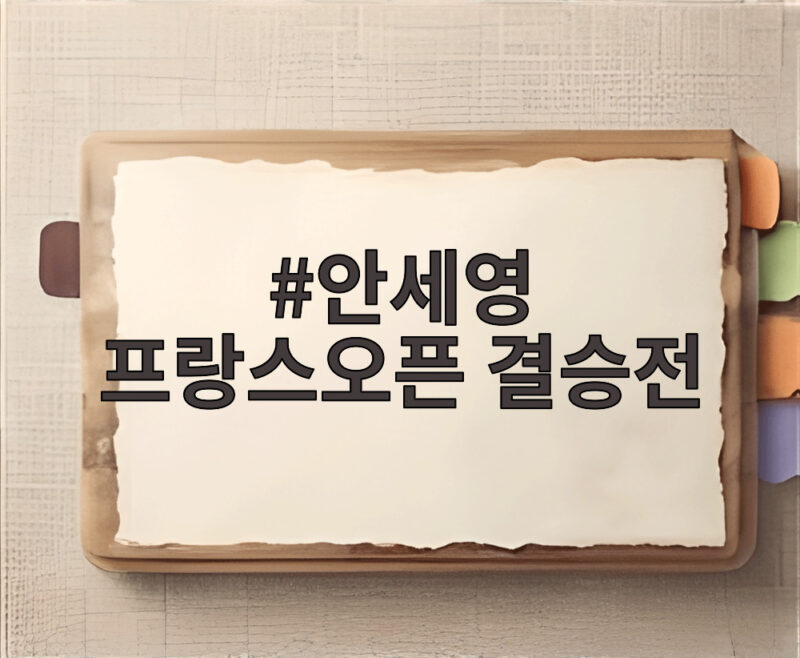 안세영 프랑스오픈 결승전 50연승 시즌 10승 달성할까 1 안세영 프랑스오픈 결승전