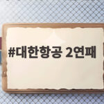 대한항공 2연패