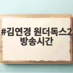 김연경 원더독스2 방송시간
