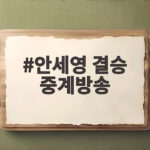 안세영 결승 중계방송