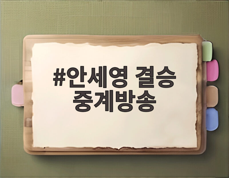 안세영 결승 중계방송