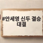 안세영 신두 결승 대결