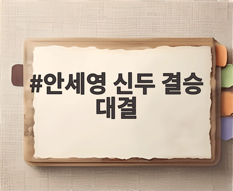 안세영 신두 결승 대결