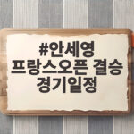 안세영 프랑스오픈 결승 경기일정 오늘 저녁 우승 보인다 안세영 프랑스오픈 결승 경기일정