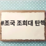 조국 조희대 탄핵 압박 속 민주당 국정조사 선택 왜 조국 조희대 탄핵