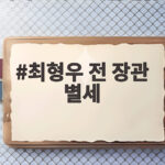 최형우 전 장관 별세
