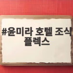 윤미라 호텔 조식 플렉스 75세 싱글 라이프의 놀라운 비결 윤미라 호텔 조식 플렉스
