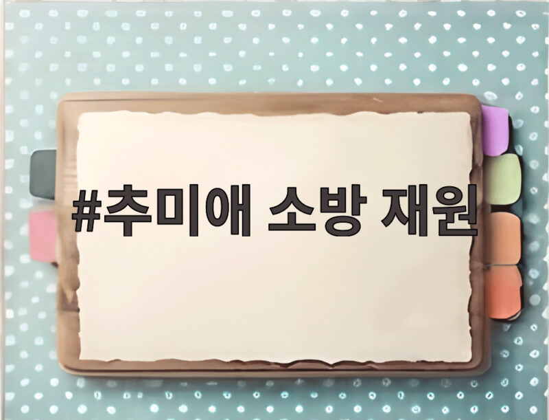 추미애 소방 재원