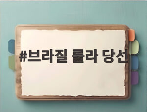 브라질 룰라 당선