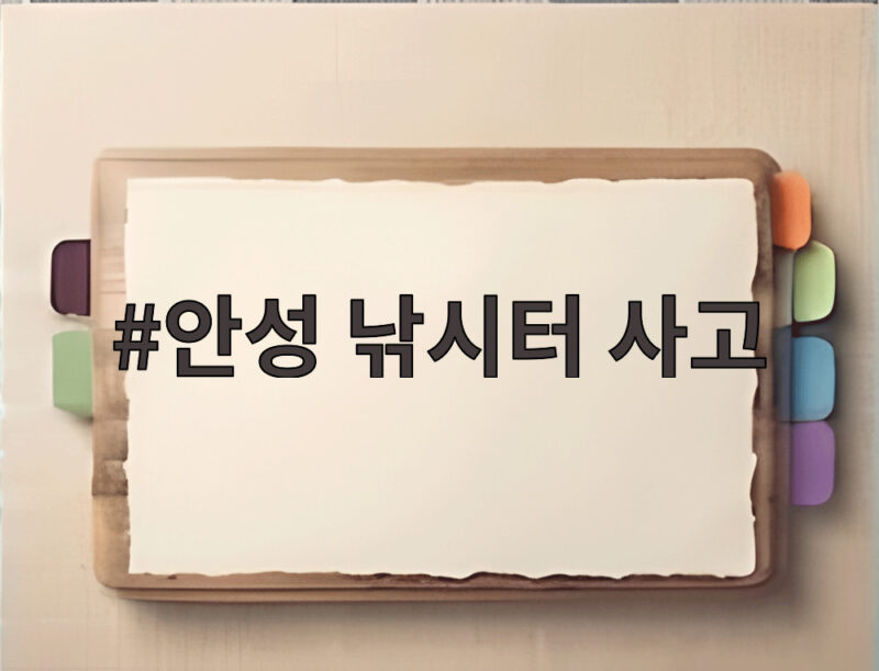 안성 낚시터 사고 초등학생 사망 사건과 야간 안전수칙 1 안성 낚시터 사고