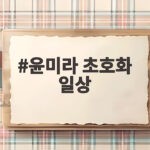 윤미라 초호화 일상 75세 미혼 배우의 화려한 하루를 만나다 윤미라 초호화 일상