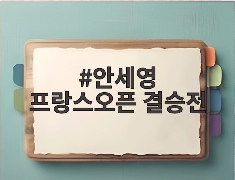 안세영 프랑스오픈 결승전