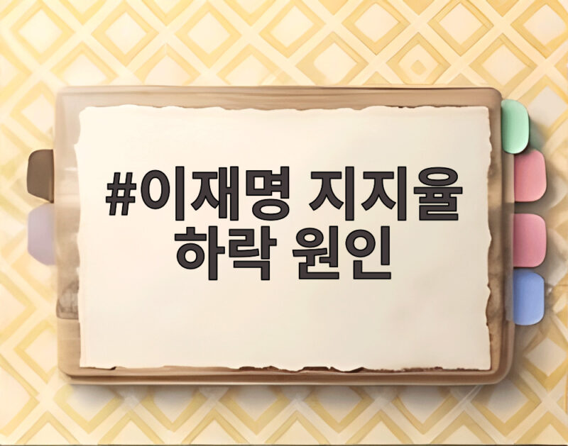 이재명 지지율 하락 원인