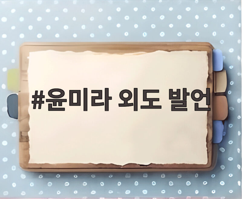 윤미라 외도 발언