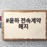 윤하 전속계약 해지 소식 정산금 미지급 이유와 향후 활동 전망 윤하 전속계약 해지