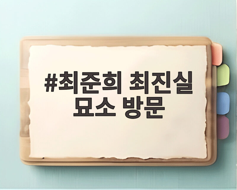 최준희 최진실 묘소 방문하며 엄마에게 힘 받은 근황 1 최준희 최진실 묘소 방문