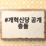 개혁신당 공개 충돌 이기인 위원장과 천하람 원내대표 출마 공방 핵심 정리 개혁신당 공개 충돌