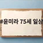 윤미라 75세 일상 한강뷰 아파트와 옷방 3개 화려한 싱글 라이프 윤미라 75세 일상