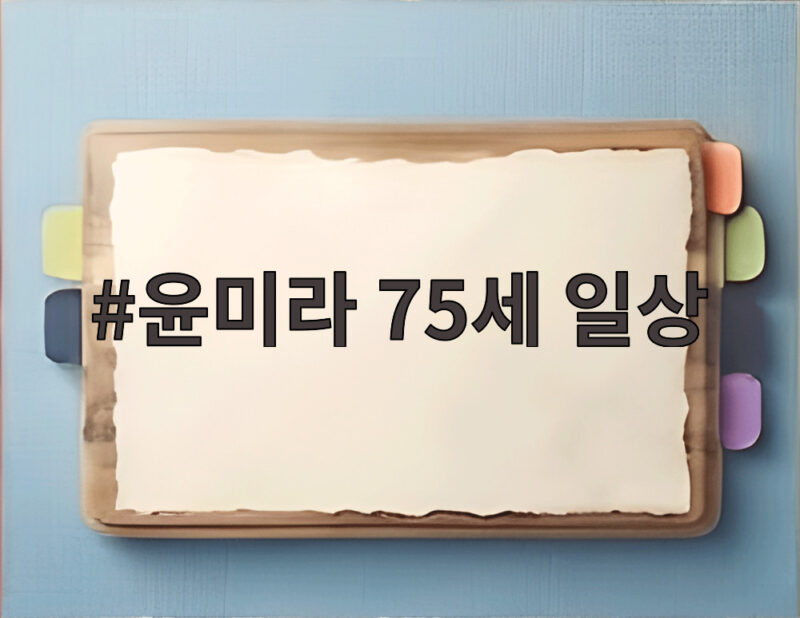 윤미라 75세 일상 한강뷰 아파트와 옷방 3개 화려한 싱글 라이프 1 윤미라 75세 일상