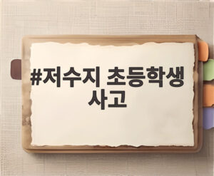 저수지 초등학생 사고