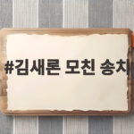 김새론 모친 송치 검찰 수사 결과와 김수현 측 입장 정리 김새론 모친 송치